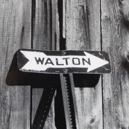 The Waltonian Logo