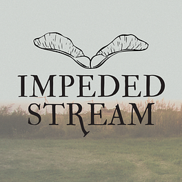 Impeded Stream Logo