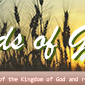 Fields of Grace Newsletter Logo