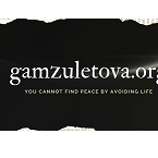 Misha from gamzuletova.org Logo