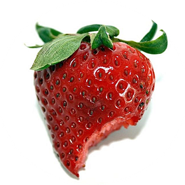 The Garden Grazer Newsletter Logo