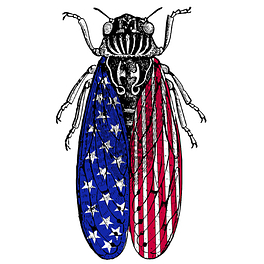 Fixing Bugs In Democracy - by Sam Wang Logo