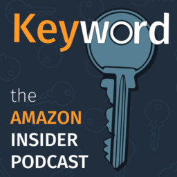 The Amazon Insider Logo