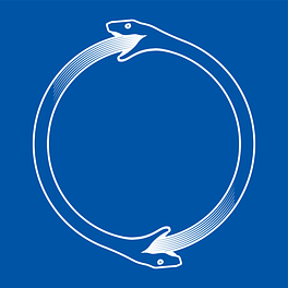 The Modern Platonist Logo