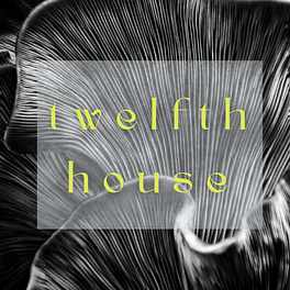The Twelfth House Logo
