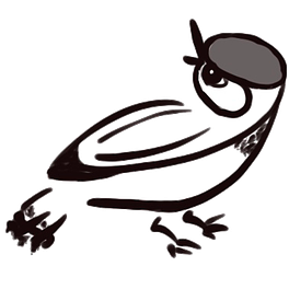The Story Birds Logo