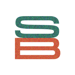 le Signal et le Bruit Logo