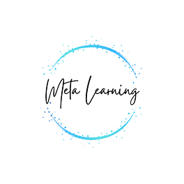 Amy’s Meta Learning Experiment Logo