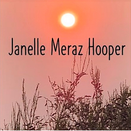 Janelle Meraz Hooper, Literary Shorts Logo
