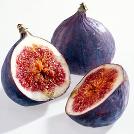 Figs in Winter Logo