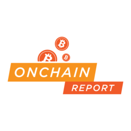OnChainReport Logo
