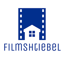 The Shtiebel Lens Logo