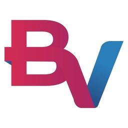 Black Ventures, LLC Logo