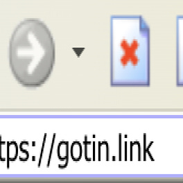 Gotin Link (English Edition) Logo