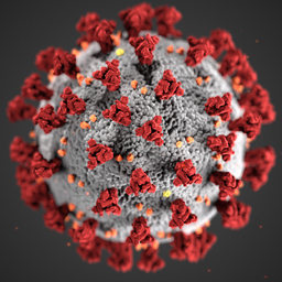 Pandemia Logo
