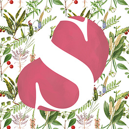 Les Aventures de Semisto Logo