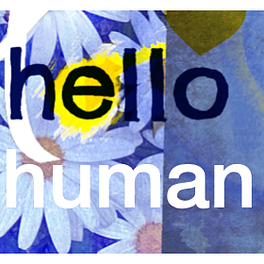 the hello human newsletter Logo