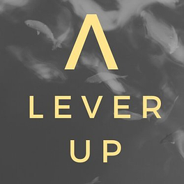 Lever Up Newsletter Logo