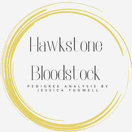 Hawkstone Bloodstock Logo