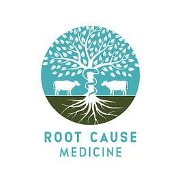 The RootCause Journal of Medicine Logo
