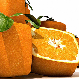 Square Oranges  Logo