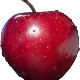 Ruby Red Apples Logo