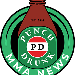The Punchline Logo
