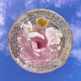 The Birth Realm Logo