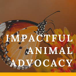 Impactful Animal Advocacy Community Newsletter Logo