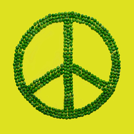 PeaceLinks Logo