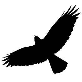 Almonte’s Newsletter Logo