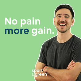 No pain more gain Logo