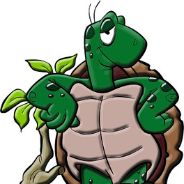 Turtle Thinking Logo