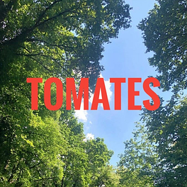Tomates en Verano Logo