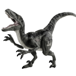 Raptor Velocity Logo