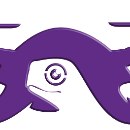 Turtle's in the Sky Logo