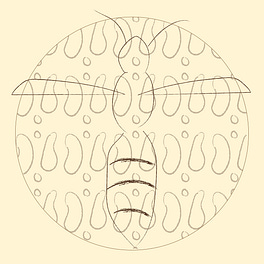 Wasp & Xylem Logo