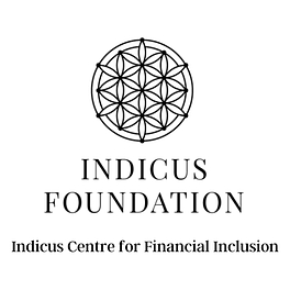 Financial Inclusion News and Views Logo