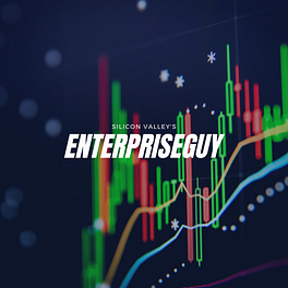 EnterpriseGuy's Investor Journey Logo