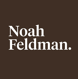 Noah Feldman's Newsletter Logo