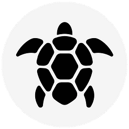 Turtles Research logo