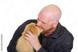 Man Bites Dog Stock Photo | Adobe Stock