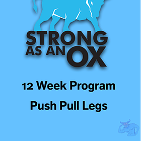 12 Week Push Pull Legs Program