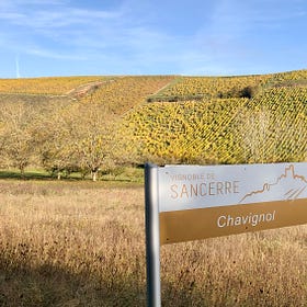 Is Sancerre Getting Serious?