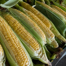 Understanding The Politics Of Corn Farming And Its Impact On Human Health.