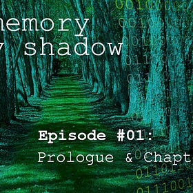 The Memory of My Shadow #01