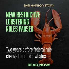 New Restrictive Lobstering Rules Paused