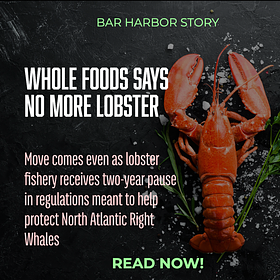 Whole Foods Says No More Lobster