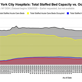NYC's Hospital System Never Reached Full Capacity in Spring 2020
