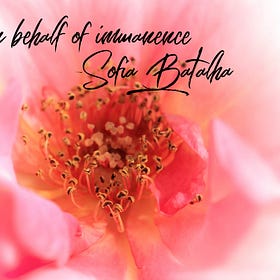 On behalf of Immanence